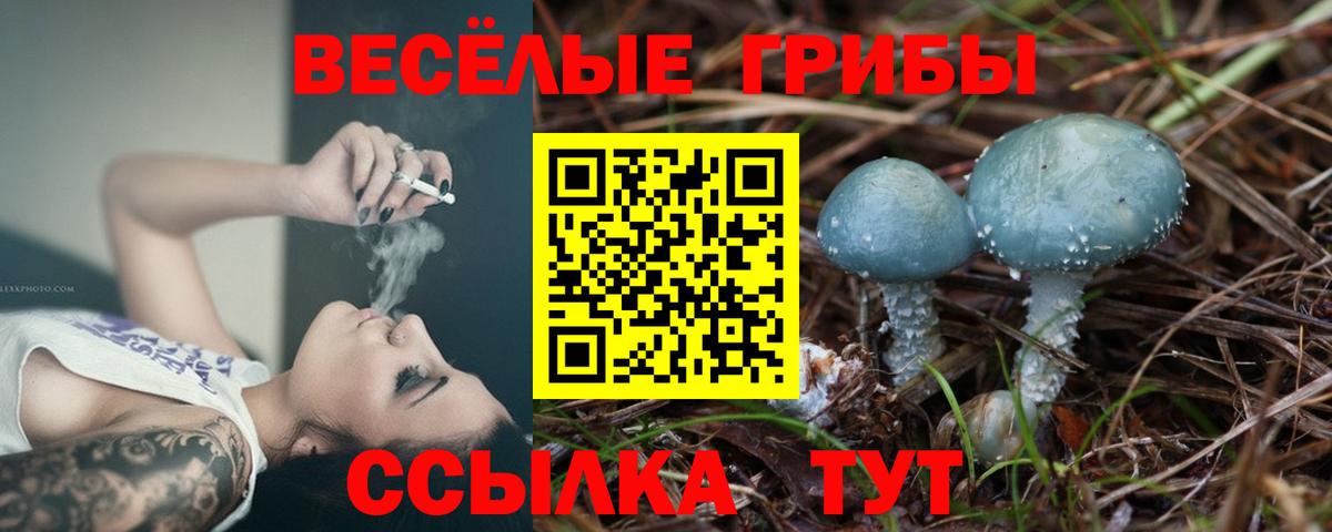 купить закладку  Галлюциногенные грибы Psilocybine cubensis  Вход с VPN  Камышлов  Галлюциногенные грибы Magic Shrooms 