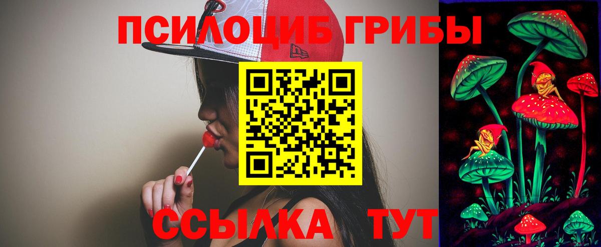 Псилоцибиновые грибы мухоморы Камышлов